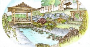 Illustration from garden design, (C) Mike Roberts FRAIA