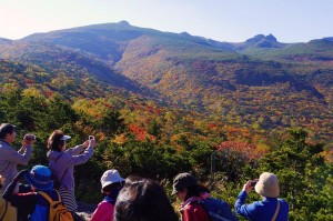 Autumn leaves from Adatara yama