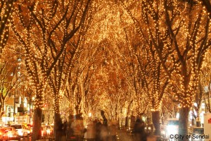 Sendai Pageant Illumination