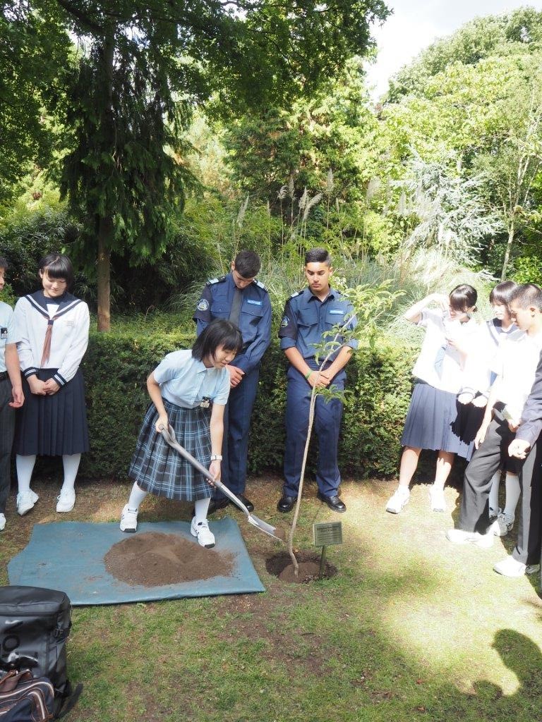 Junior high school students and RBKC Police Cadets help to plant a tree