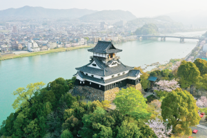 National Treasure Inuyama Castle